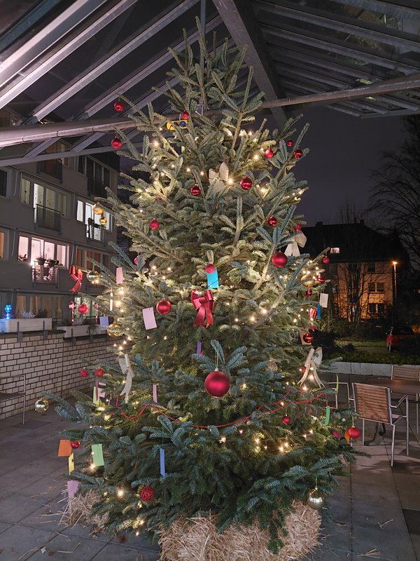 Weihnachtsbaum Grete-Fährmann-SZ