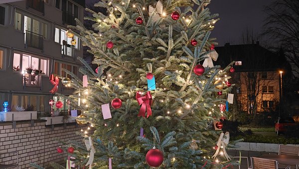 Weihnachtsbaum Grete-Fährmann-SZ